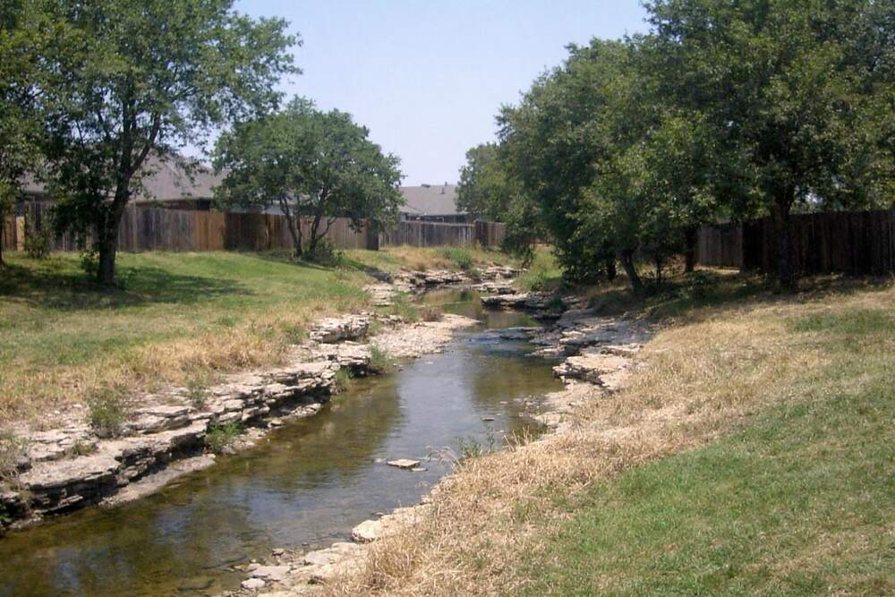 A wooded creek greenbelt behind a row of houses