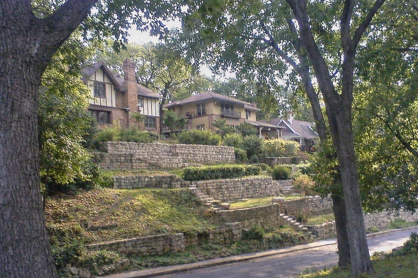 Houses on a wooded hillside among tall trees